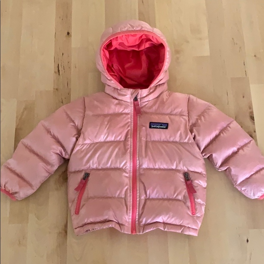 Patagonia Hi-Loft Down Sweater Hoodie